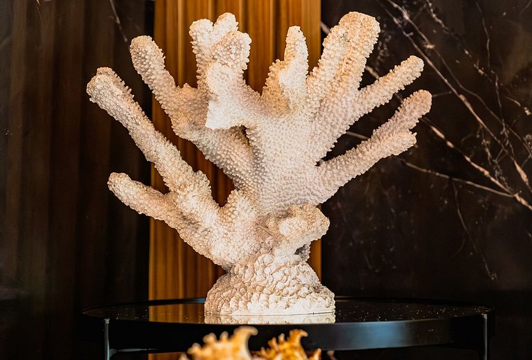 Condomínio Vila do Centro Bombinhas